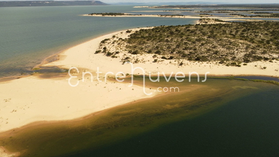 Dunas Baianas