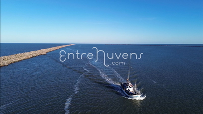 Barco de pesca 