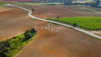 Estrada serpenteando plantações verdes e secas
