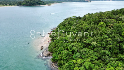 Praia isolada entre Mata Atlântica e mar