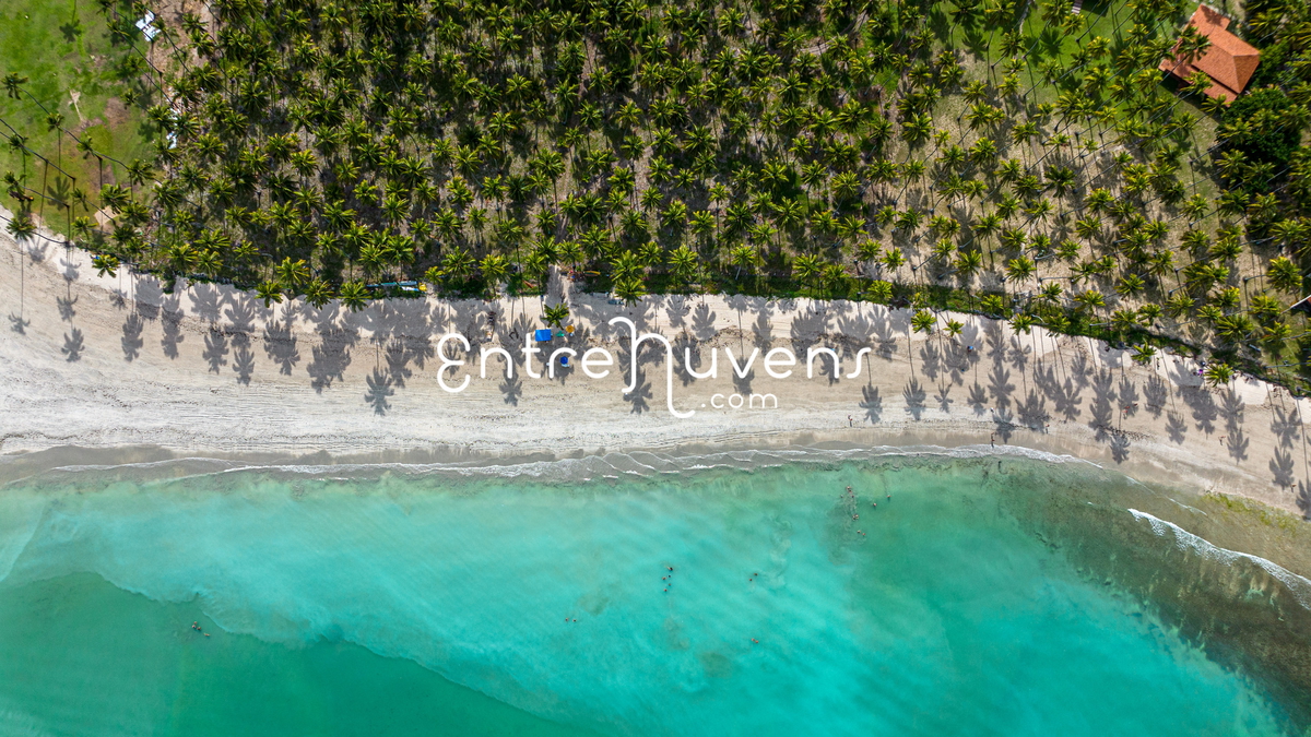 Praia dos carneiros Pernambuco coqueiral 