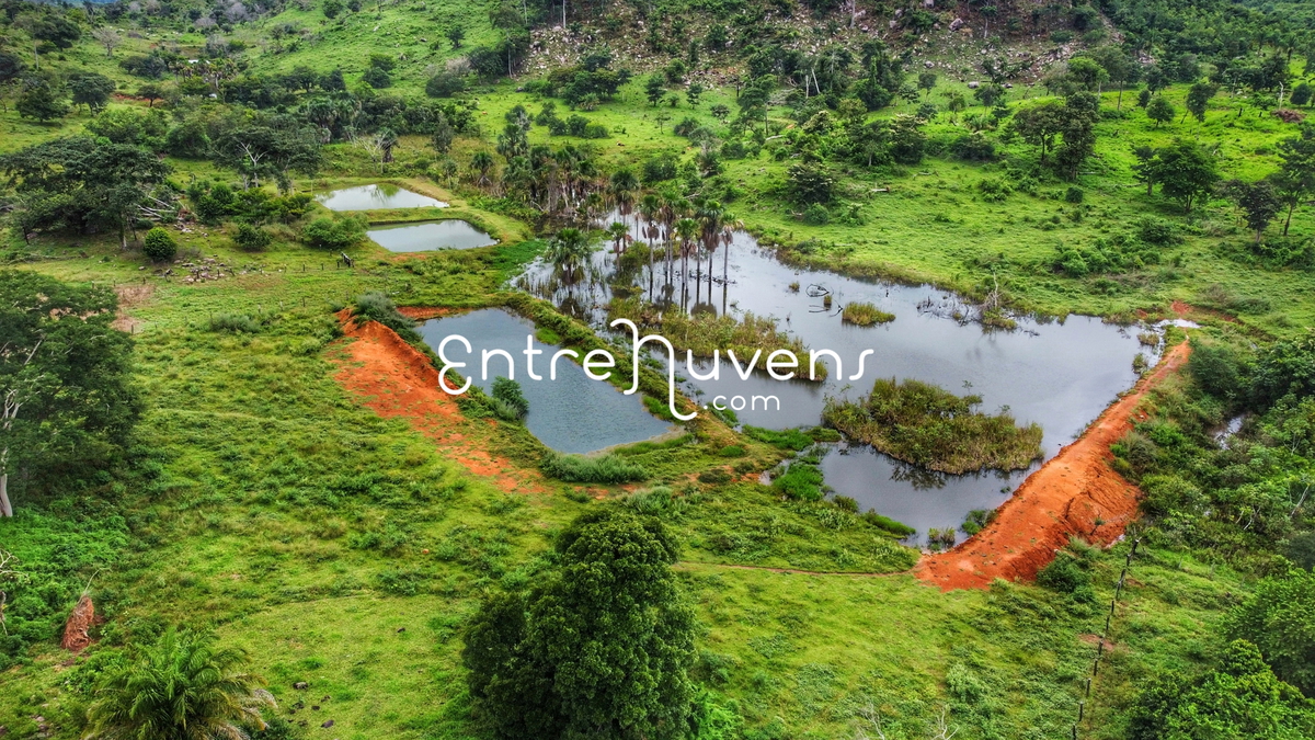 Natureza, paisagem 