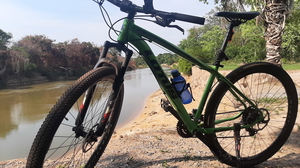 Bicicleta e natureza