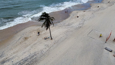 praia com coqueiro 