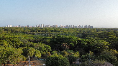 Parque