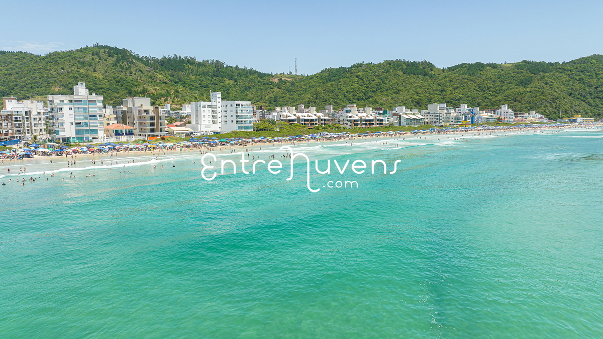 Imagem aérea da praia de Palmas do Arvoredo 