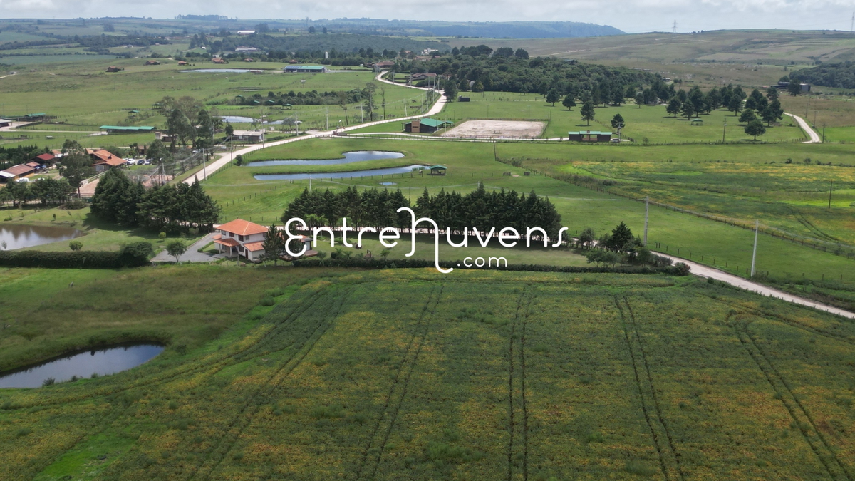 Purunã - Paraná