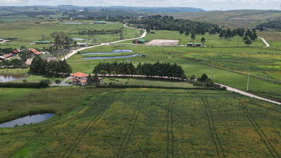 Purunã - Paraná